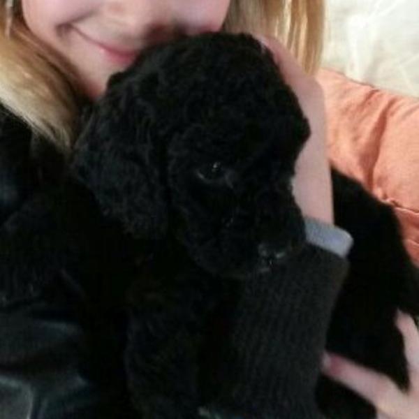 My new puppy!
