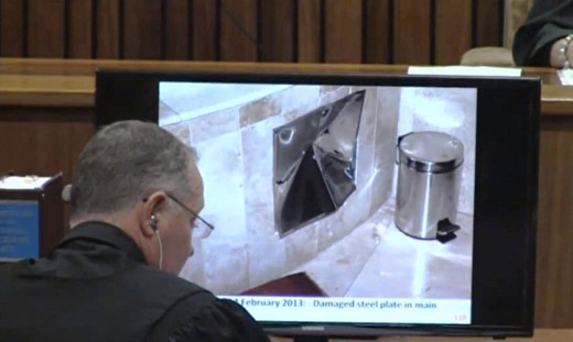 Oscar Pistorius Trial Part 5