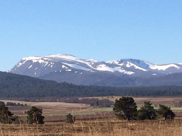 If you run you are a runner! - runners thread 3