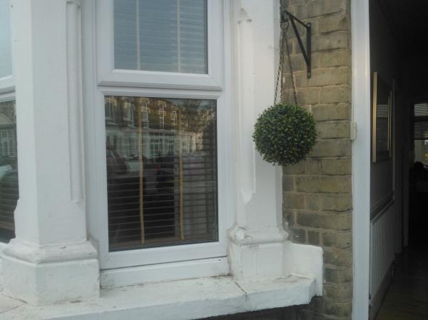 Plastic hanging buxus trees