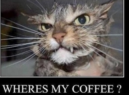 The 5:2 Thread number 42: Trying to lose weight, but it keeps finding you again ? 5:2/IF is based on the latest scientific research into nutrition, health and exercise. Come and join us !