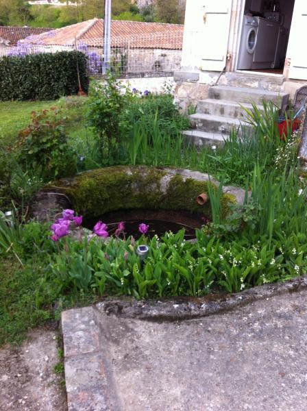 Garden Ponds, Water Basins