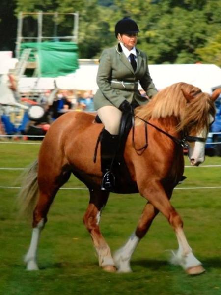 hapless hacking and Actual Riding log