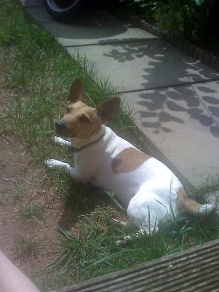 To ask for all your help?