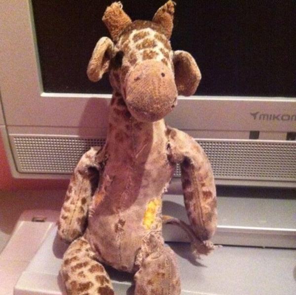 Lost giraffe