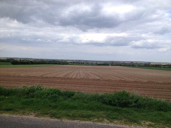 If you run you are a runner! - runners thread 3