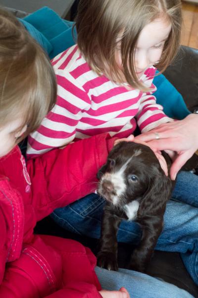 My new puppy!