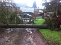 Tell me about the most jaw dropping OMG moment you've ever witnessed...