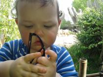 Jan 2013: hooray for tits!