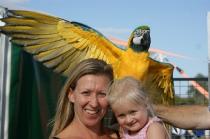 COMPETITION: 'Win a Family Ticket and Free Parking to The Suffolk Show' in Ipswich - May 2014.