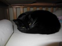 TTC 10+++ Months Grads Thread