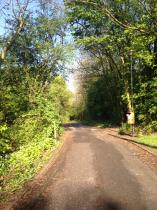 If you run you are a runner! - runners thread 3