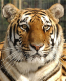 Win a Shepreth Wildlife Family Pass