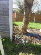 Dangerous (?) Tree in Next Door's Garden - anything I can do to speed them up sorting it?