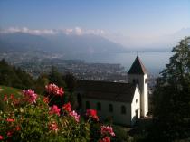 Geneva advice pls
