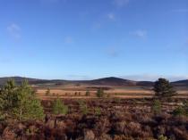 If you run you are a runner! - runners thread 3