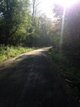 If you run you are a runner! - runners thread 3