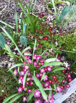 …if winter comes, can Spring be far behind? 2014 beckons us...