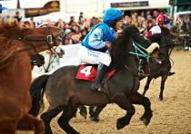 WIN A family Ticket to the Royal Windsor Horse Show Sunday 18th May 2014