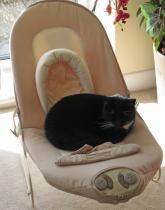 TTC 10+++ Months Grads Thread