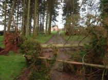 Tell me about the most jaw dropping OMG moment you've ever witnessed...