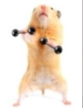 5:2 Exercise & Fitness Thread Number 2: Advice and information for those following 5:2 / IF (Intermittent Fasting)