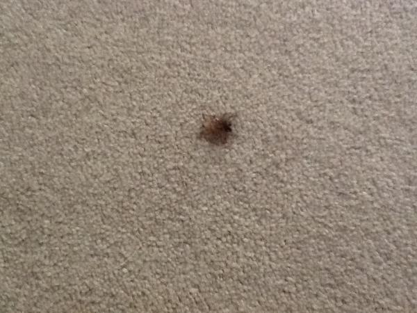 December 08 ers still going strong.