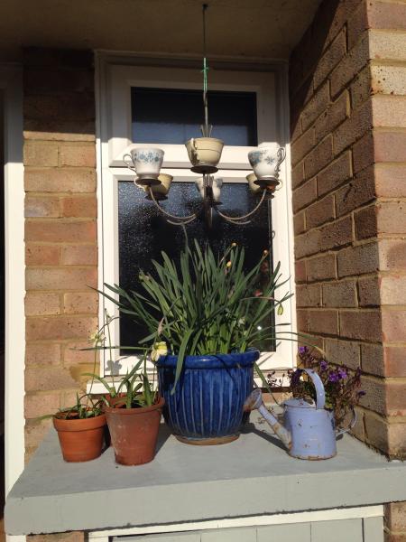 Pwetty tea cup chandelier :)