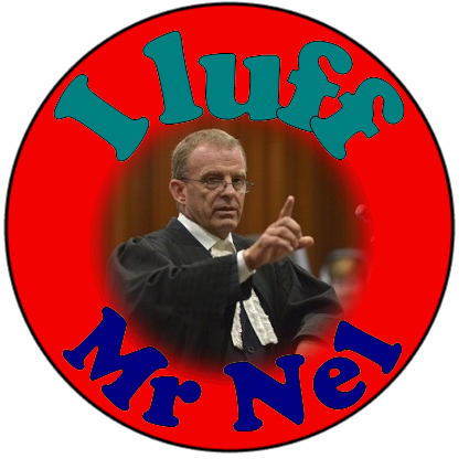 Oscar Pistorius Trial Part 7