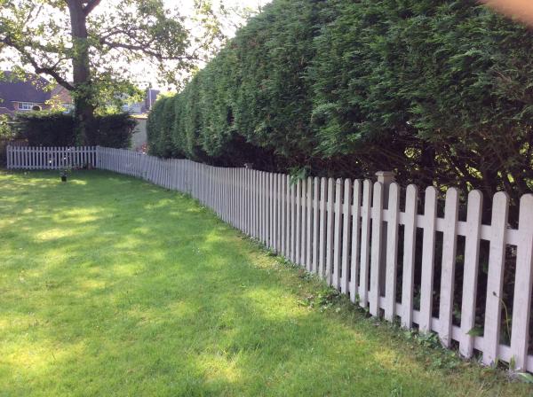 Fence colour for cottage style garden