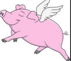 The 5:2 Thread number 44: Too big for your britches - or your skinny jeans, bikini, special dress ? Slim those fatted calves and waste that waist with 5:2 / IF