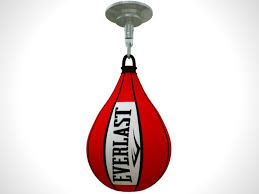 Needles and Neutrophils: The Hobnob Chronicles