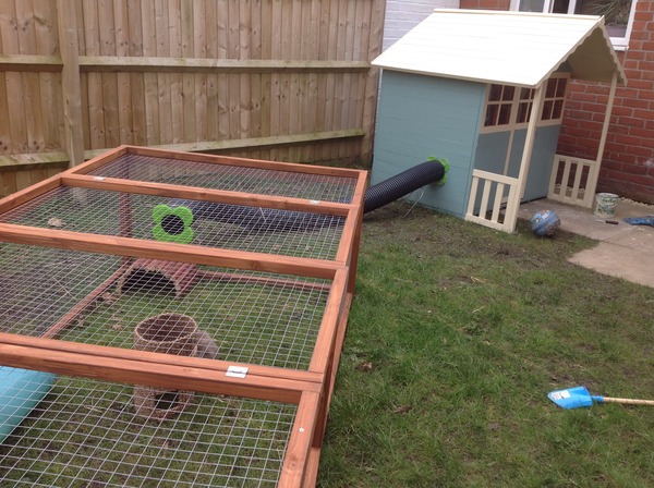 House rabbit owners - over here pls!!