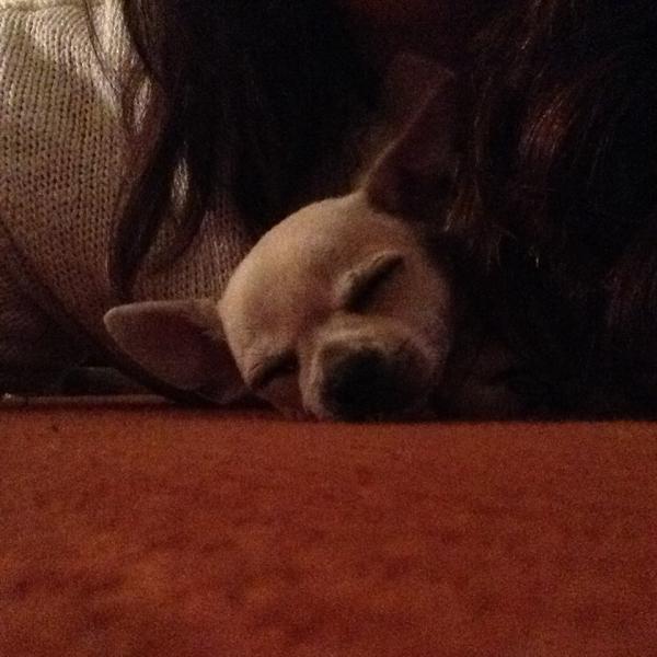 Week 1 - May Low Carb Bootcamp - It all starts here!