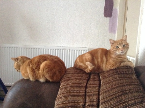 December 2011 - the one where we do the Twist and Shout