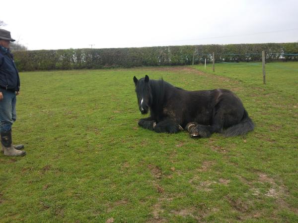 anyone in leicestershire looking for a share?