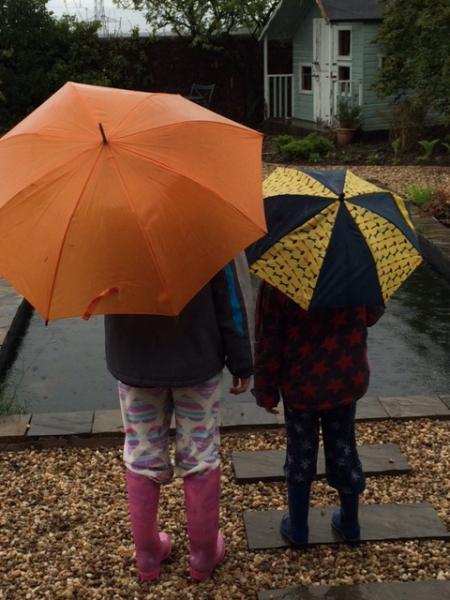 Total beginner seeks advice on pond fish