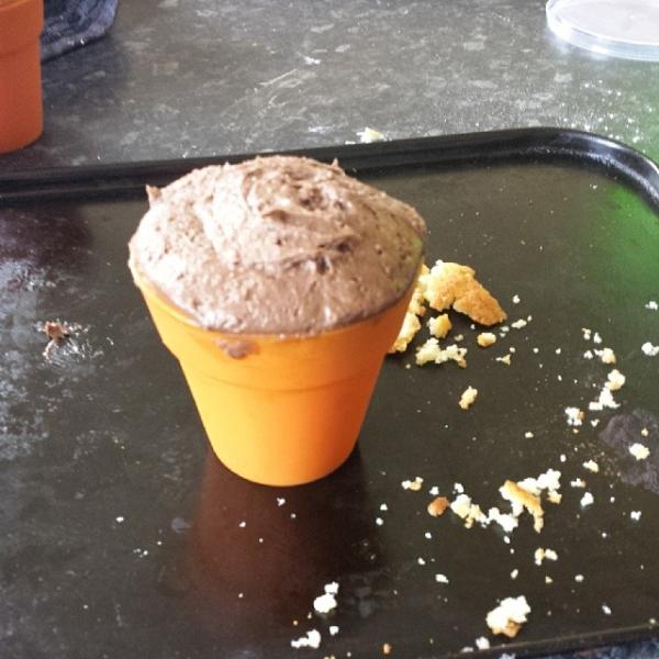 Flora panel - Baking Activity Feedback