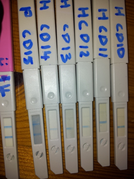 A thread for anyone TTC with a ClearBlue Fertility Monitor!