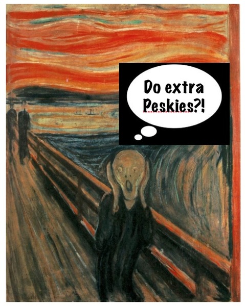 Woolly Hugs. Supporting the Chernobyl Children's Project. Can anyone help us?