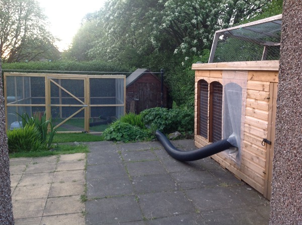 House rabbit owners - over here pls!!