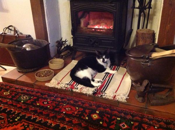 Buying a house with no central heating?