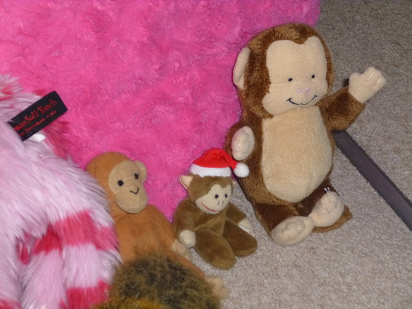 to think that I might still be able to find a small monkey toy to replace the one my ds lost 3 three years ago?