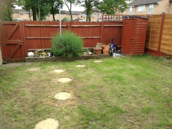 Starting a north-facing border from scratch