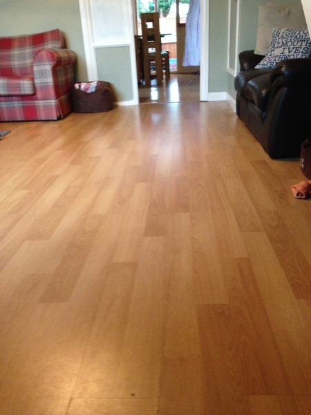 Cif Express Direct to Floor Cleaner review thread NOW CLOSED