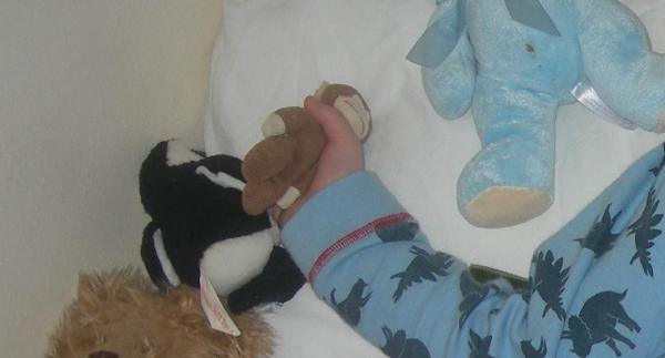 to think that I might still be able to find a small monkey toy to replace the one my ds lost 3 three years ago?