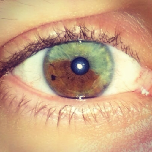 Eye colour. I'm confused...