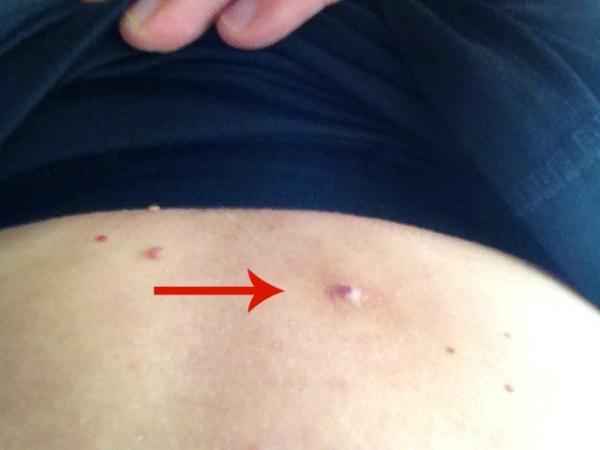 Any idea what this is (pic included)?