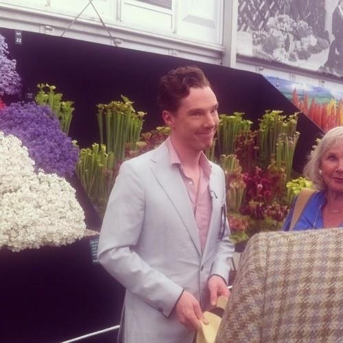 Come and join the cumbercartel!