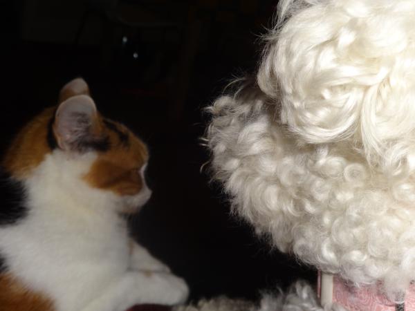 Pets as Therapy